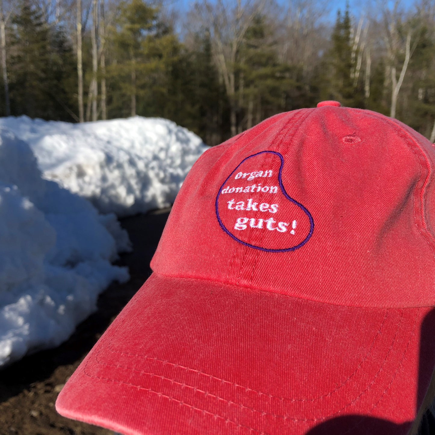 Organ Donation Takes Guts baseball cap