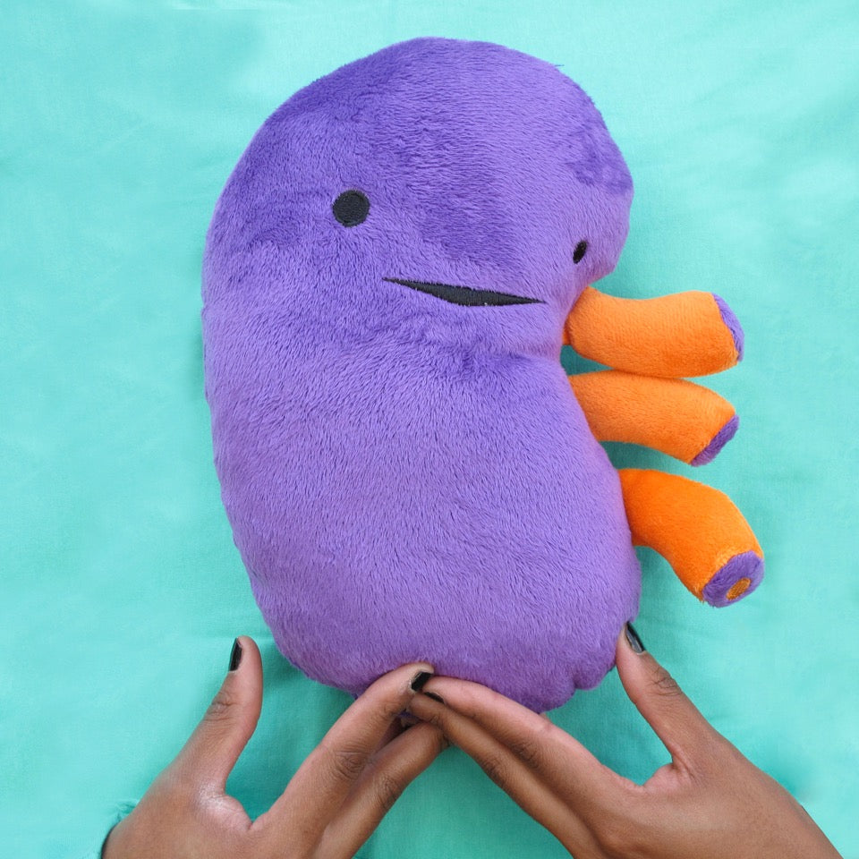 Kidney 2024 stuffed animal